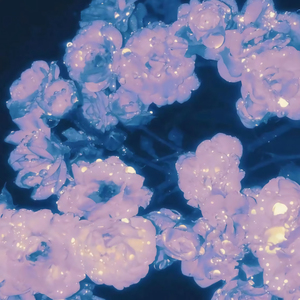 操馒头逼少妇高朝
